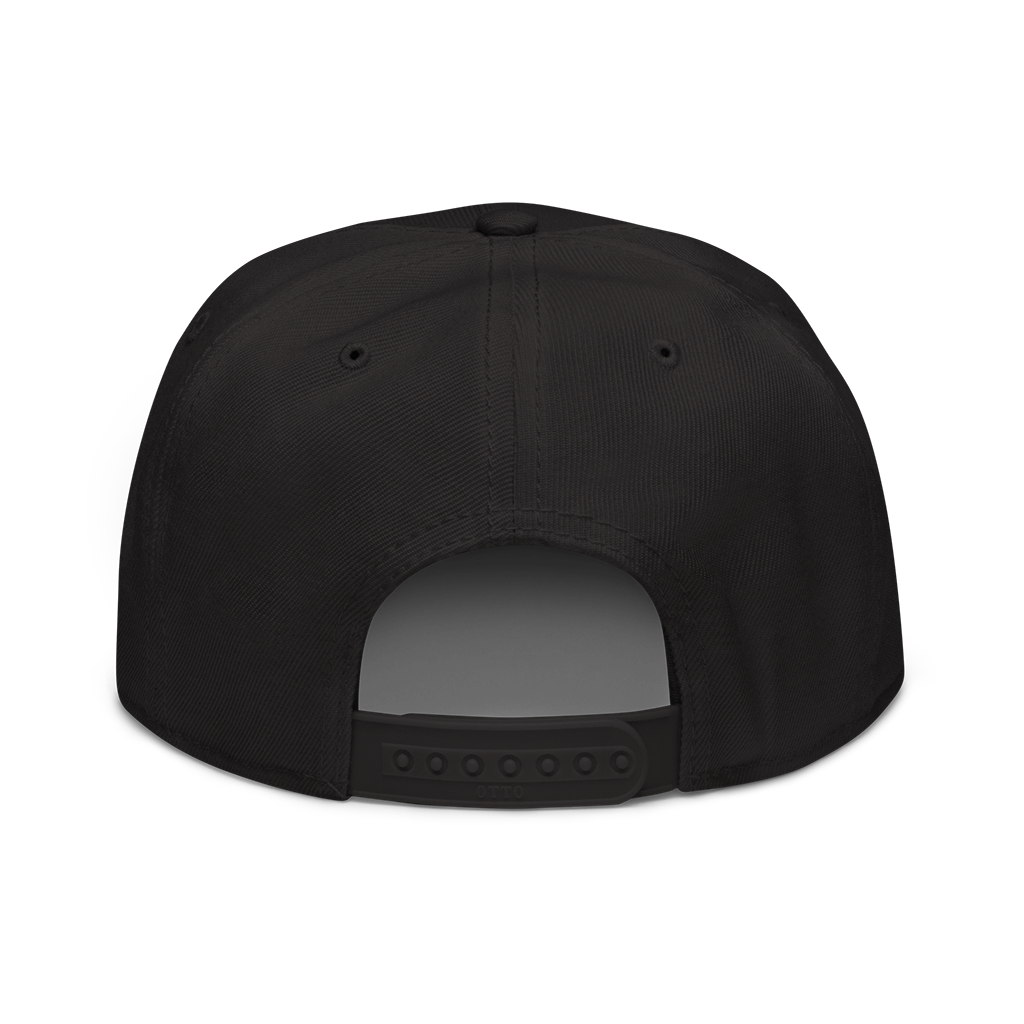 MUSIC CONNECTS US - Snap back